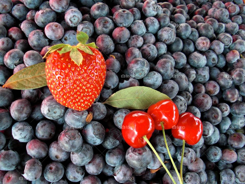 red and black berries