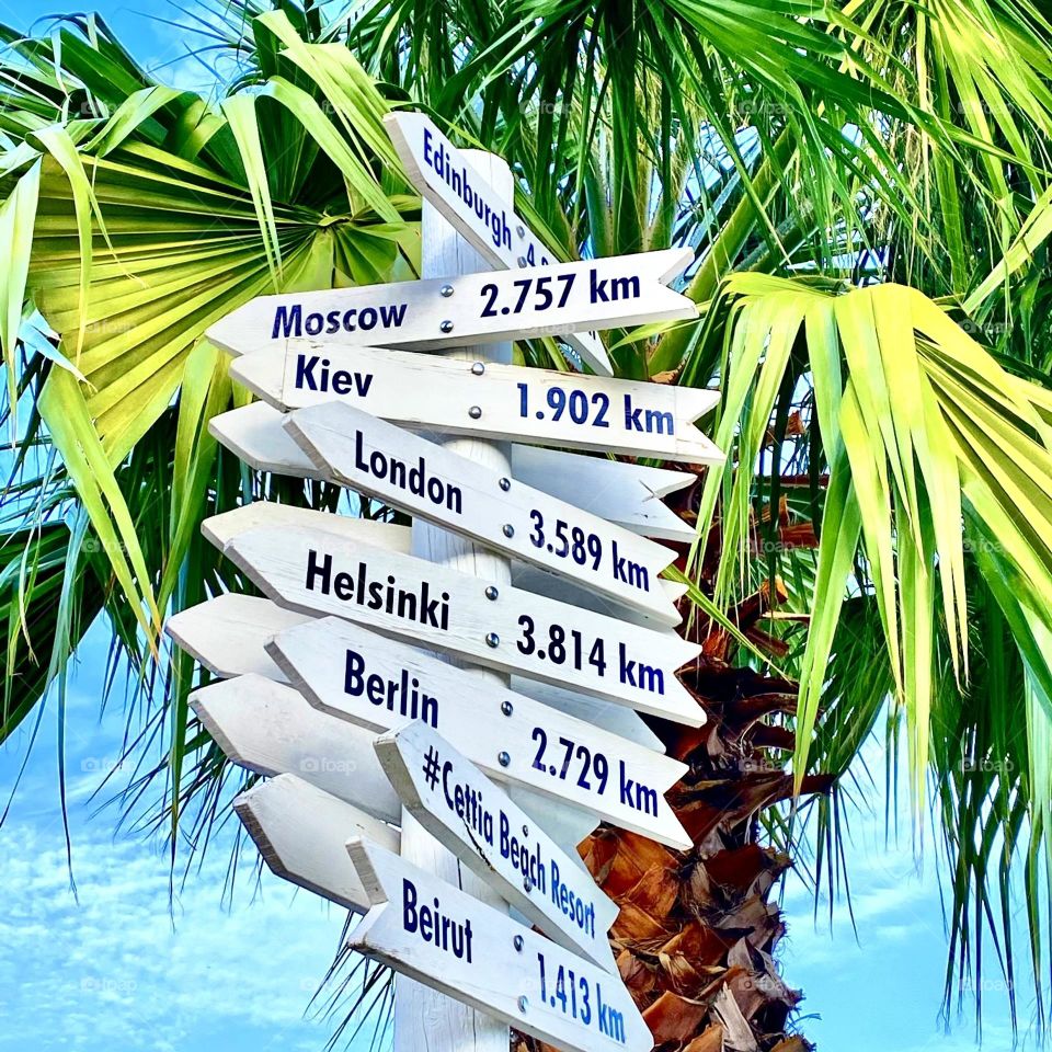 На фотографии изображена пальма, к стволу которой прикреплены  указатели с названиями и
расстояниями до различных городов
Европы. 