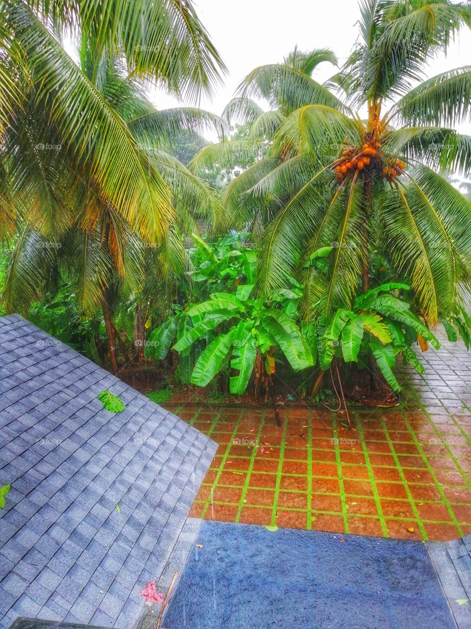 A Rainy Day