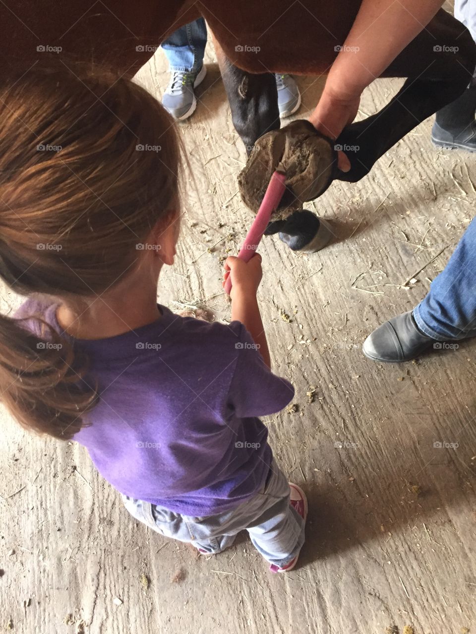 Cleaning hooves 