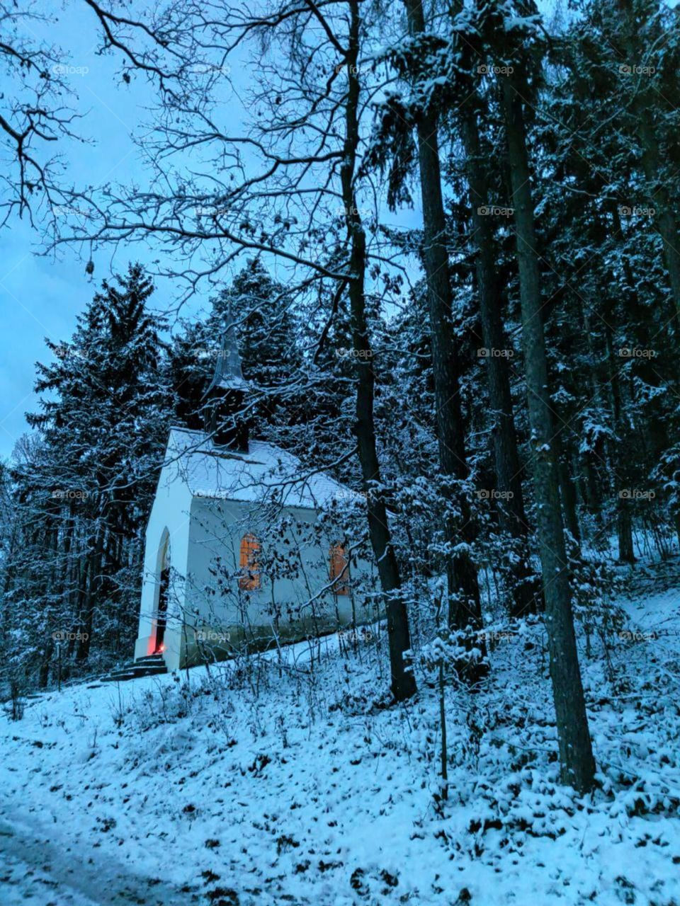 Strange building in the deep forest