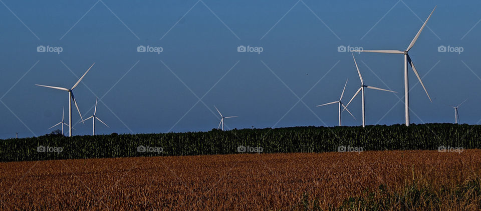 windmill in the field