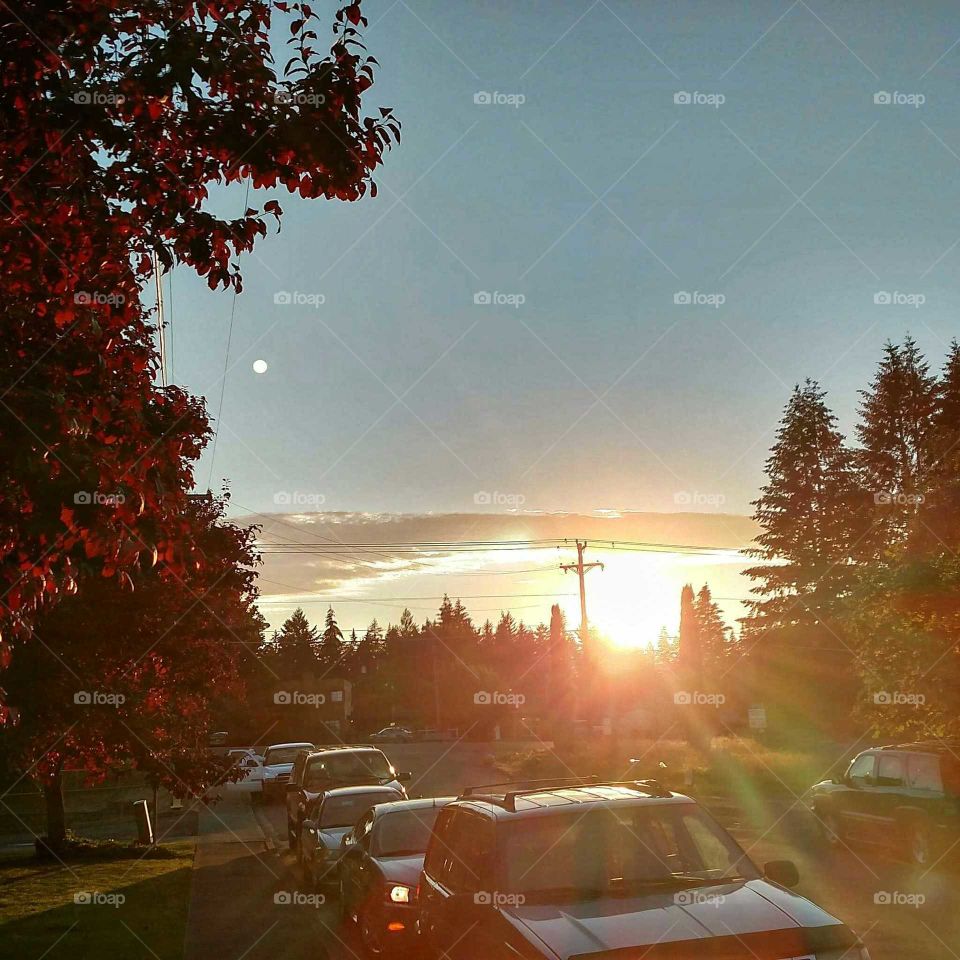 PNW Sunset