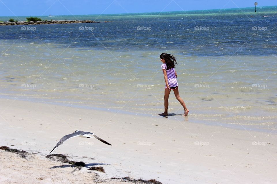 Ocean, girl, bird 