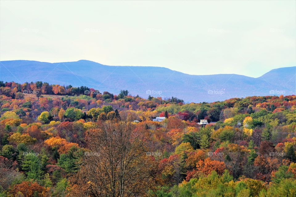 Mountain Fall Foliage 