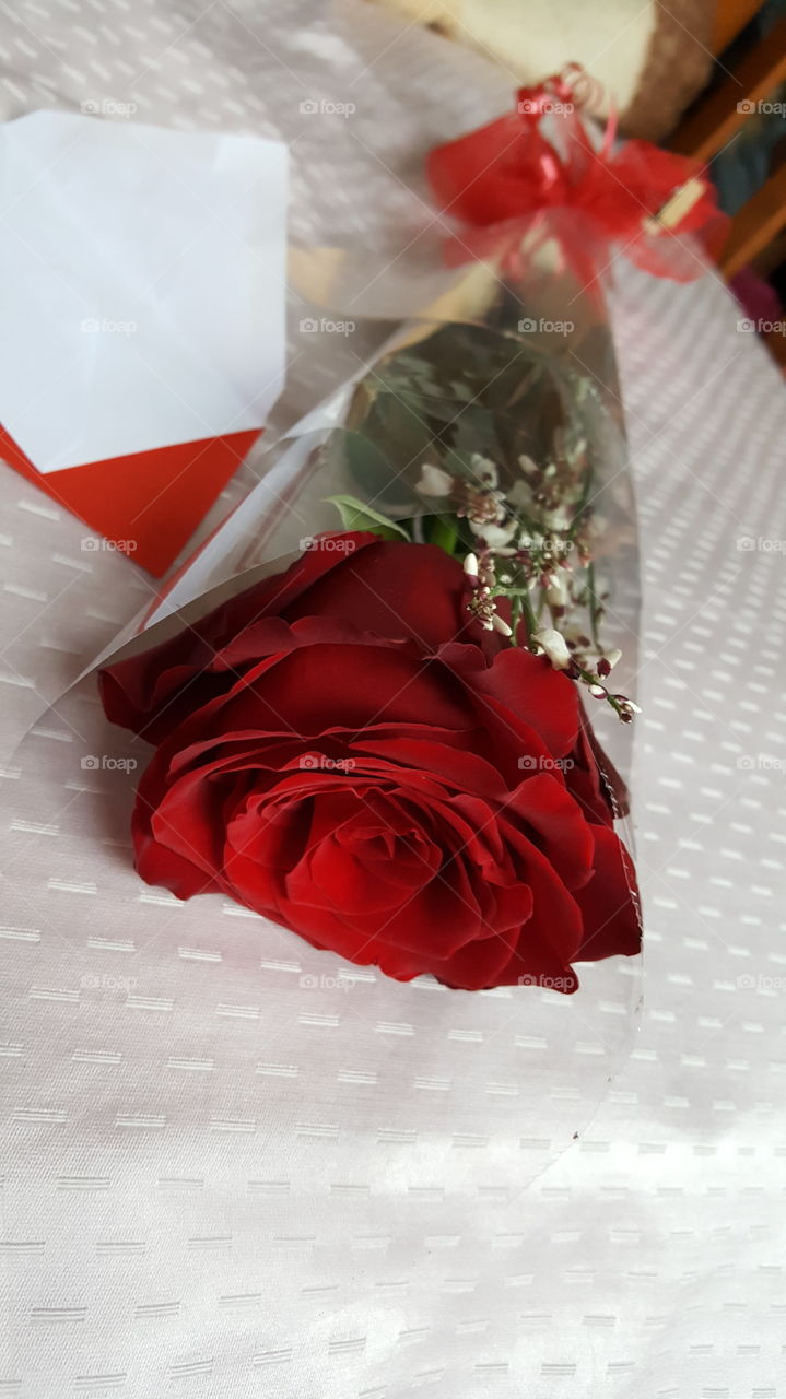 Love, Romance, Gift, Rose, No Person