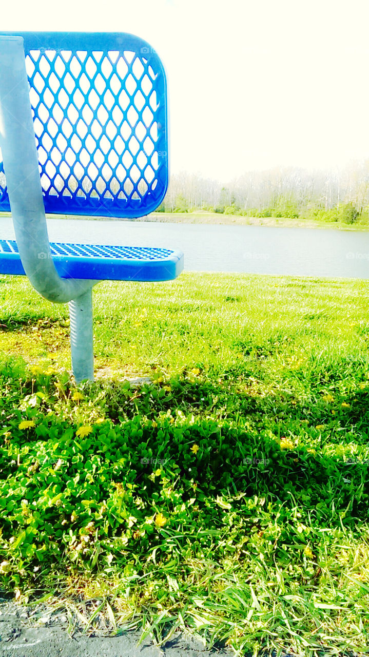 Take a seat. spring time walk