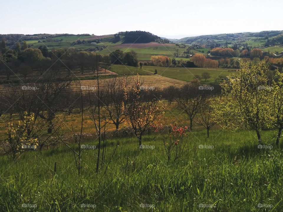 Scenic sight in Miribel in France