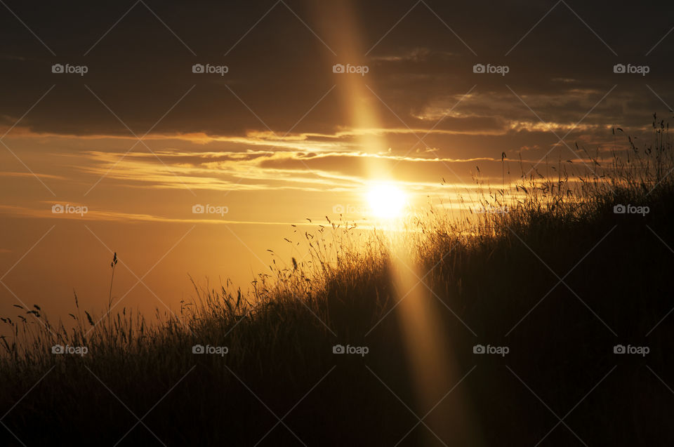 sunset in Glastonbury fields