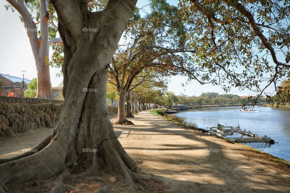 Yarra river walk 