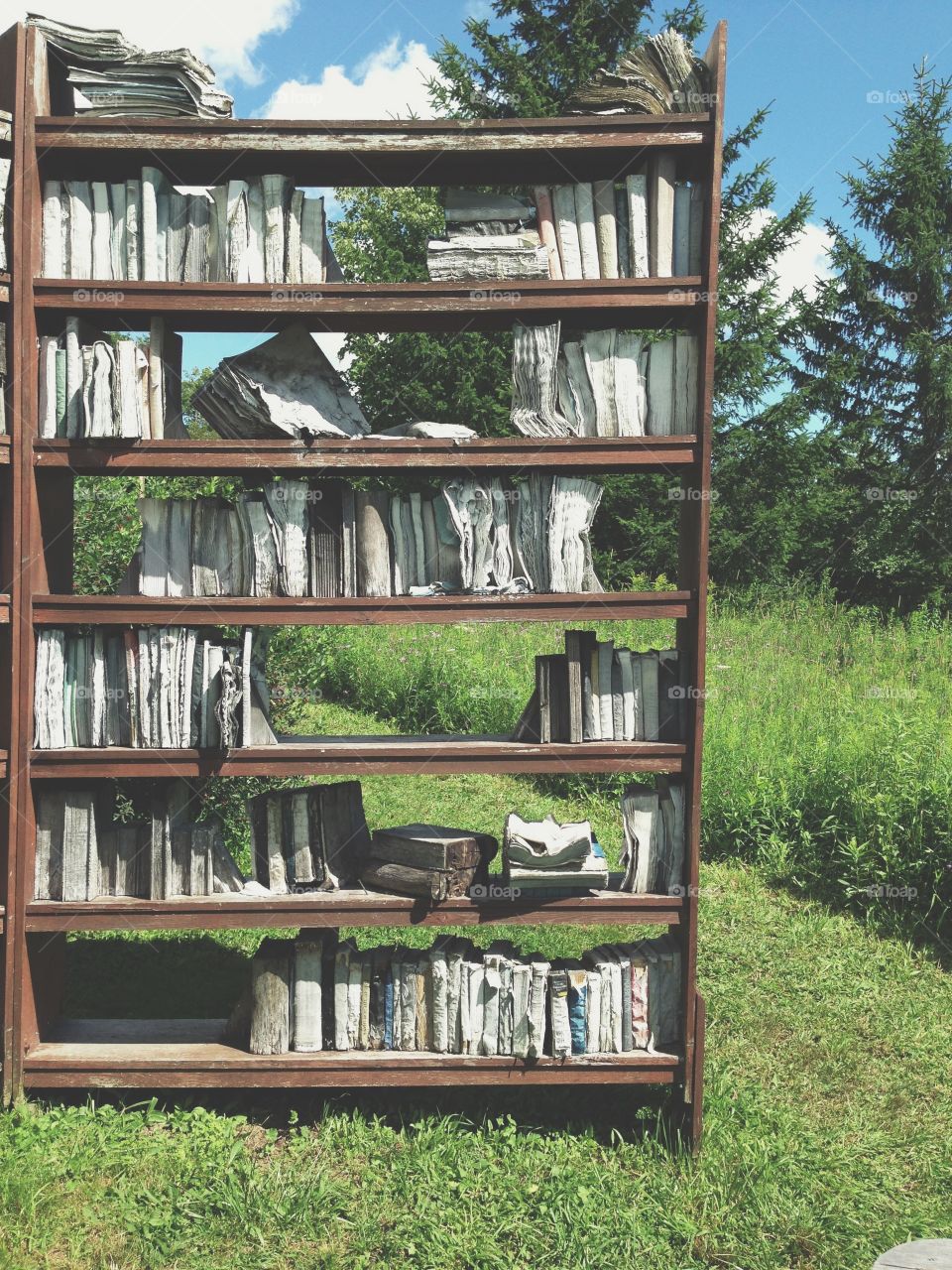 nature's library