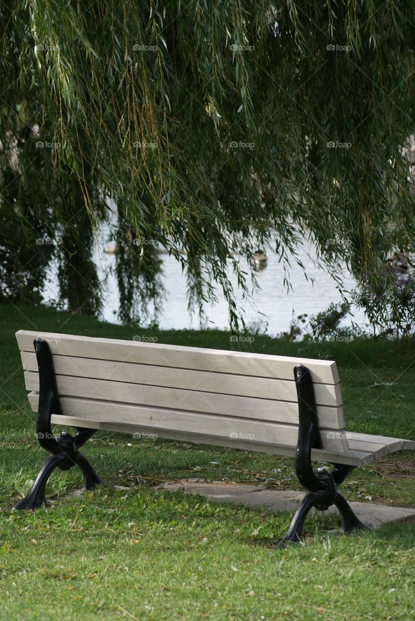 Lonely bench 