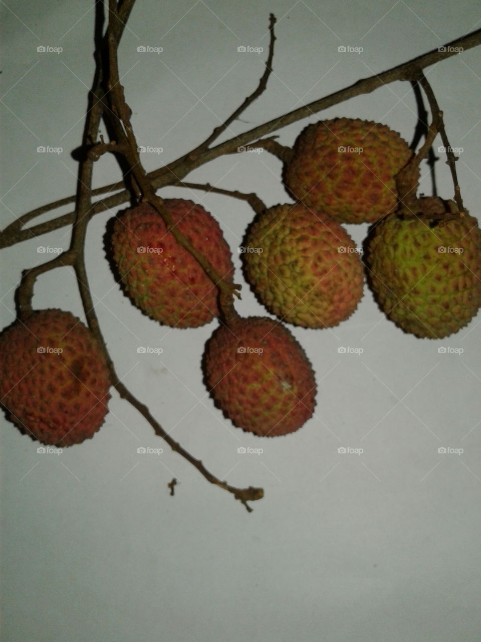 Lichi Fruit
