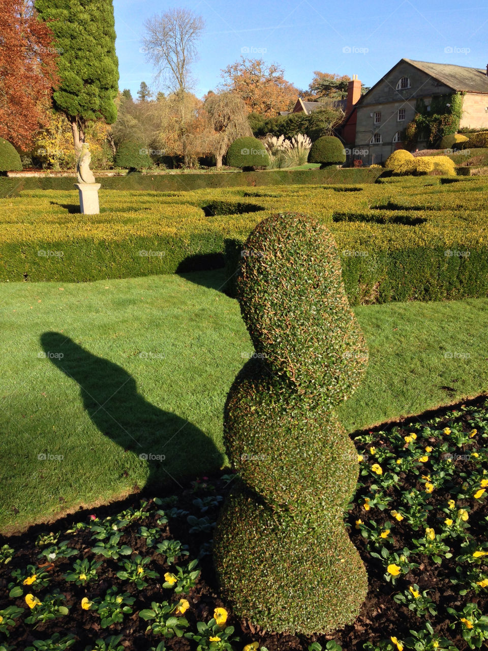 shadow uk topiary coventry by ijbailey