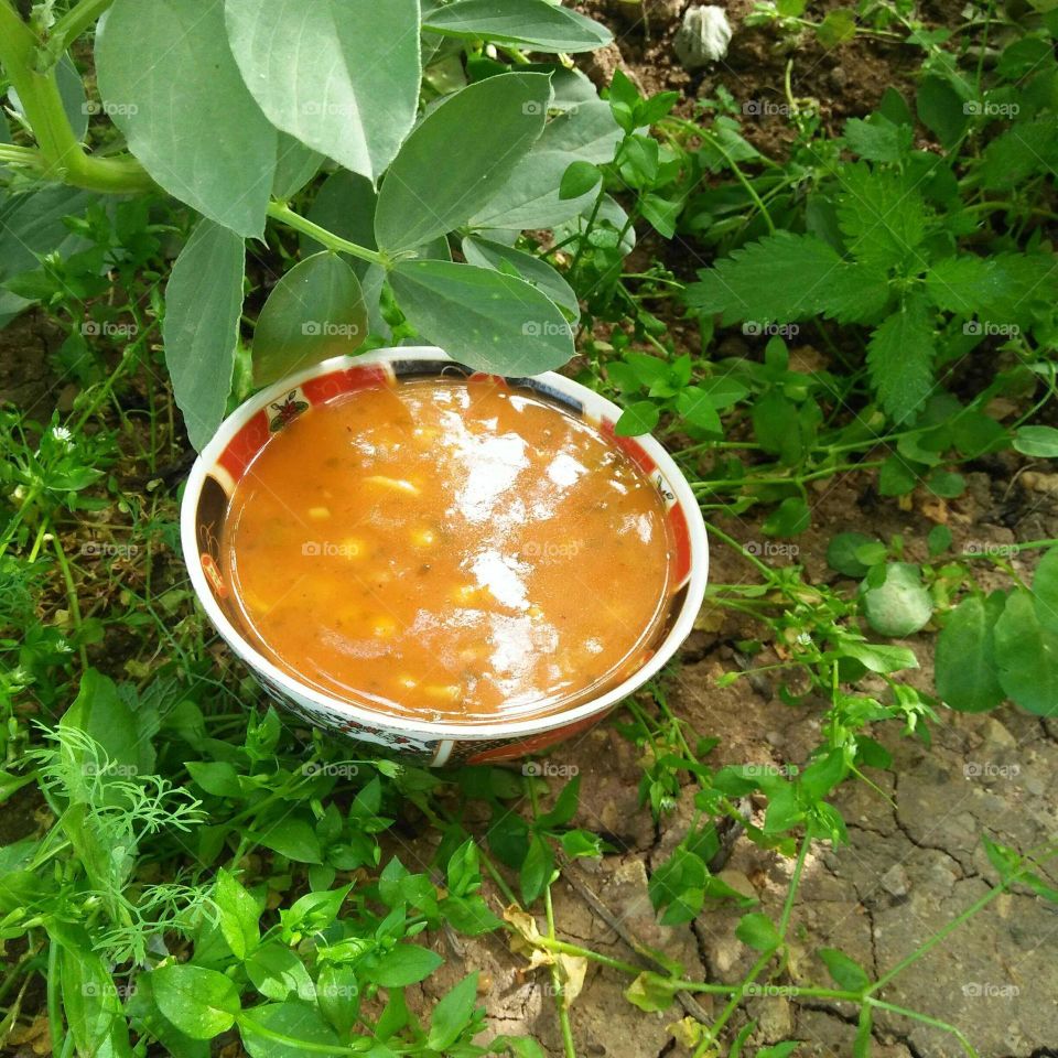 Delicious bowl of moroccan soup served in Ramadan