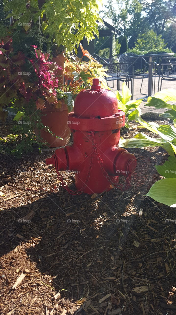 Hydrant