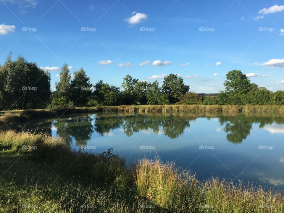 Trees reflection on lake