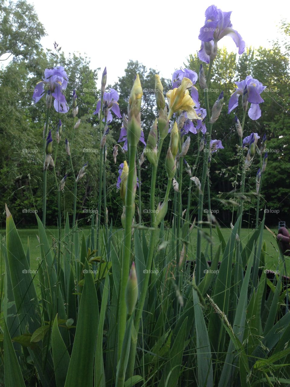 What's your point of view 