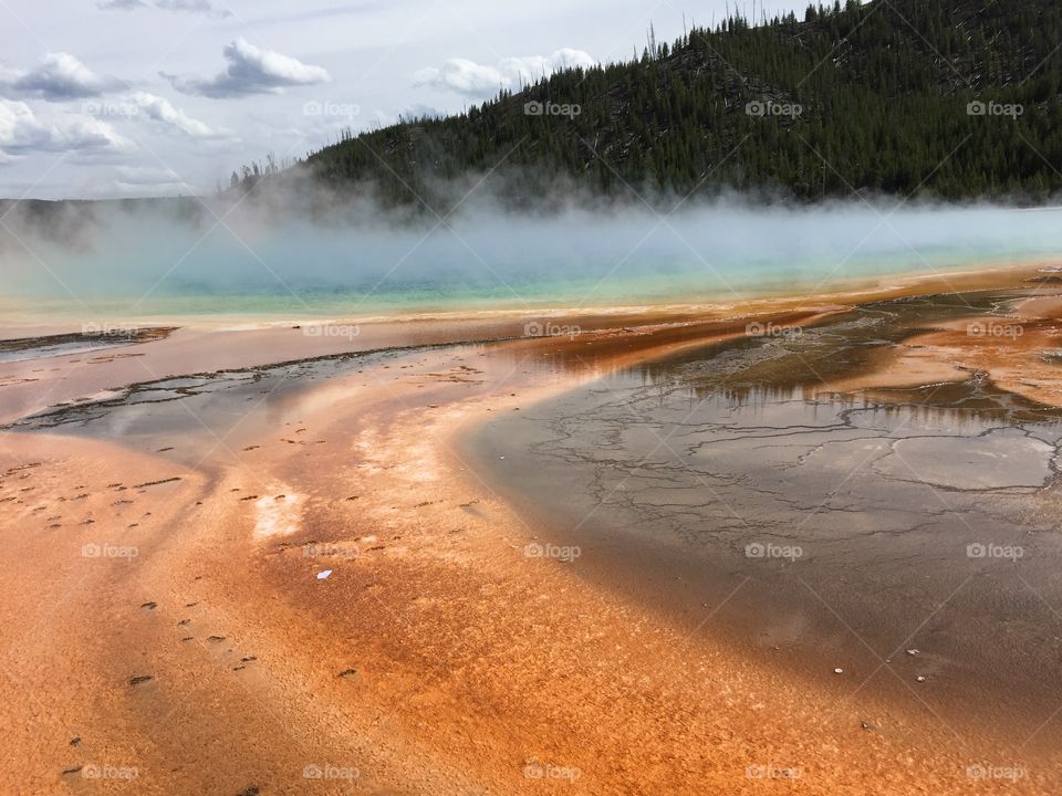 Yellowstone 