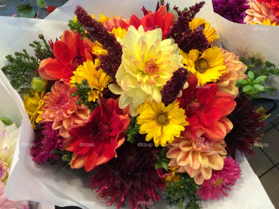Flowers 
