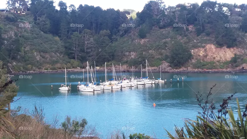 yachts