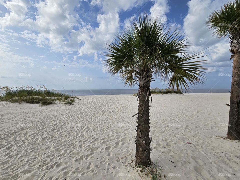 Beautiful day at the beach