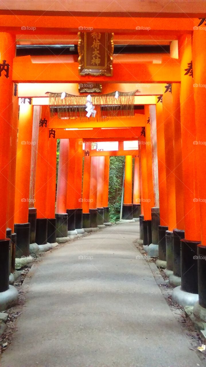 A rare quiet moment beneath the countless red gates of Fushimi Inari Shrine in Kyoto.