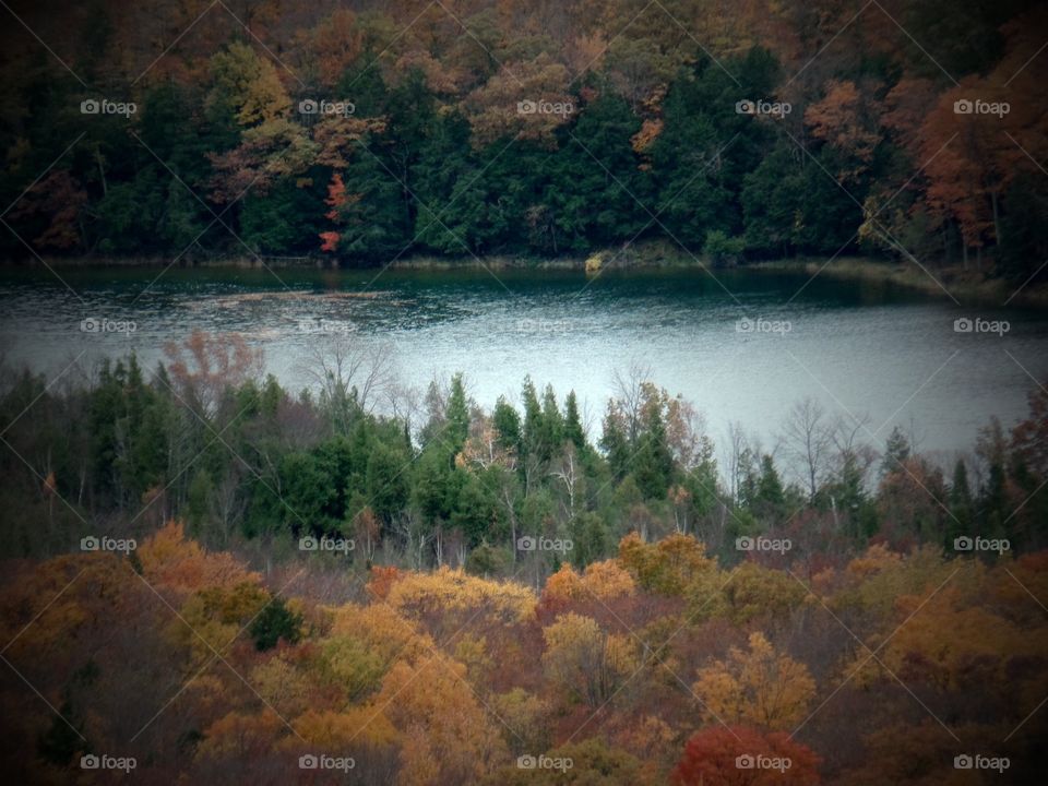 Northern Michigan 