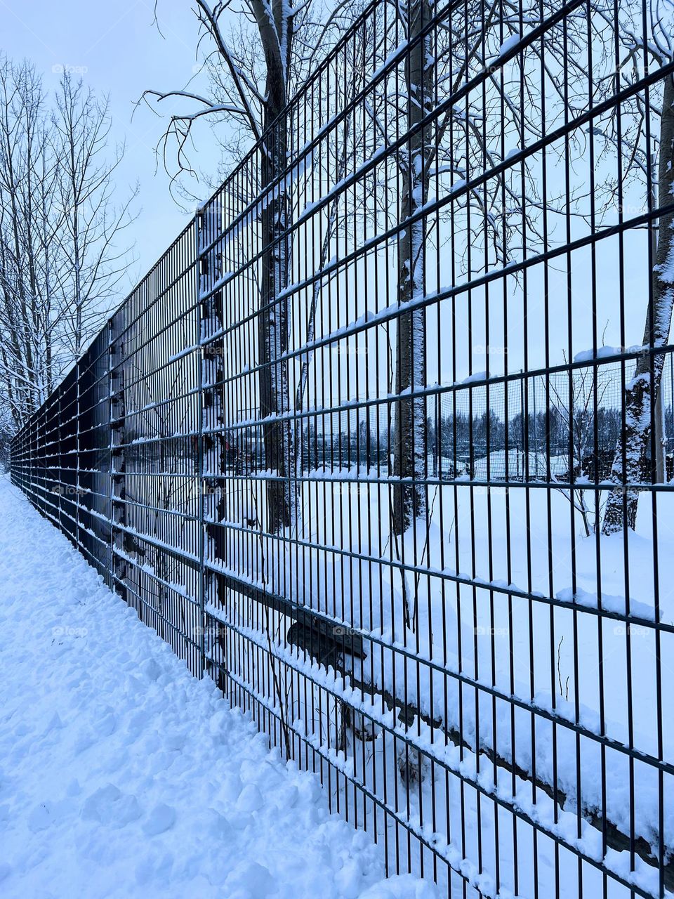 Perspective view to the metal mesh net fence in the middle of winter snowy landscape