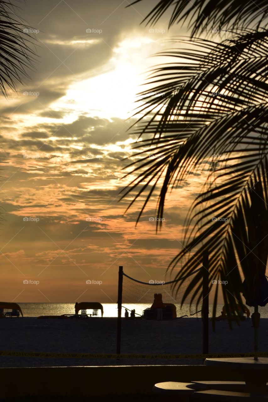 Sunset and Palms. St. Pete Beach, FL