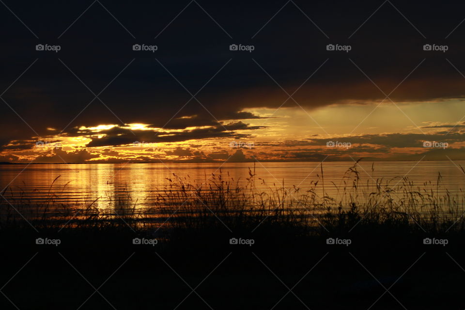 Golden Sunset. Sunset over the harbor in Washington State.