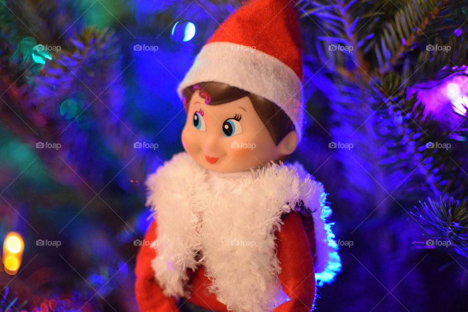 Elf on a Shelf