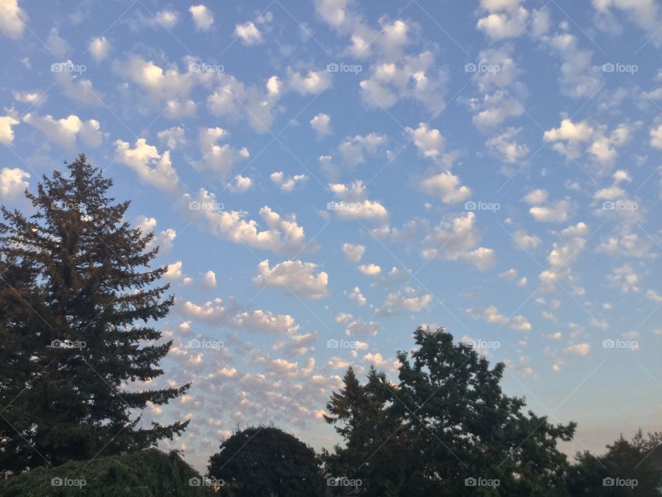 Beautiful Clouds in the Sky ar Golden Hour 