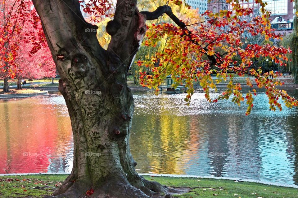 #downtown#boston#spring#beautiful#colorful