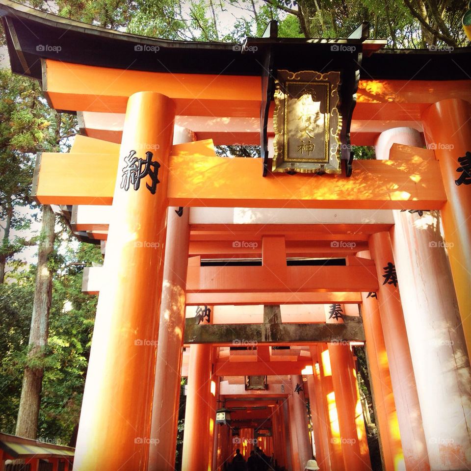 japan hallways kyoto torii by jonk