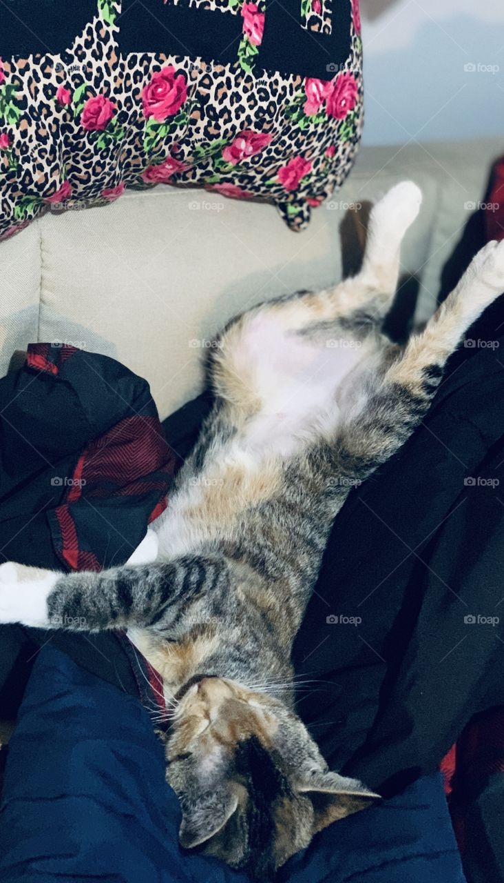 Upside down sleeping 