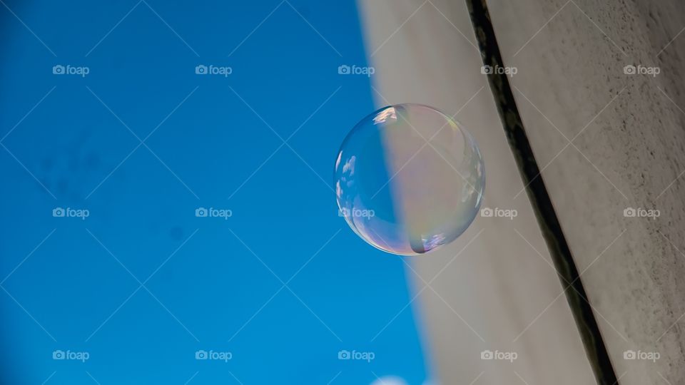 bubbles 