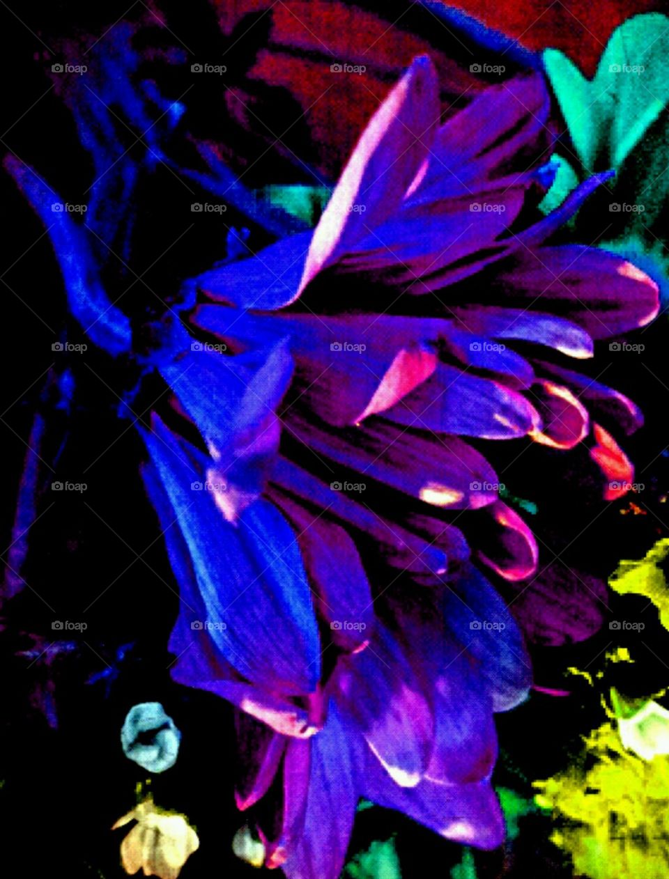 crazy colors. lighting effects