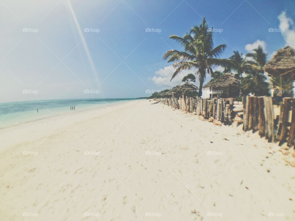 A beach with palm trees