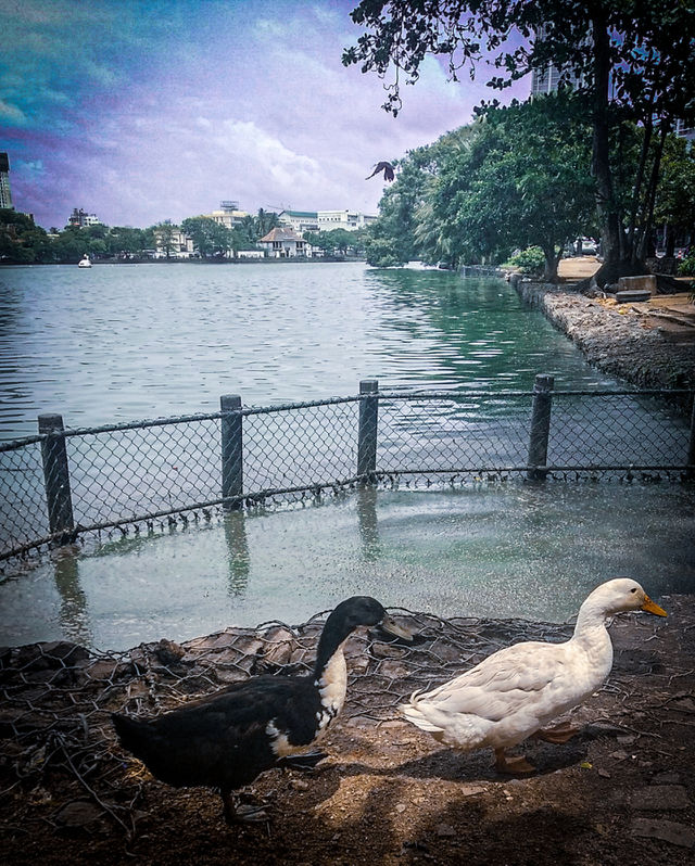 lake