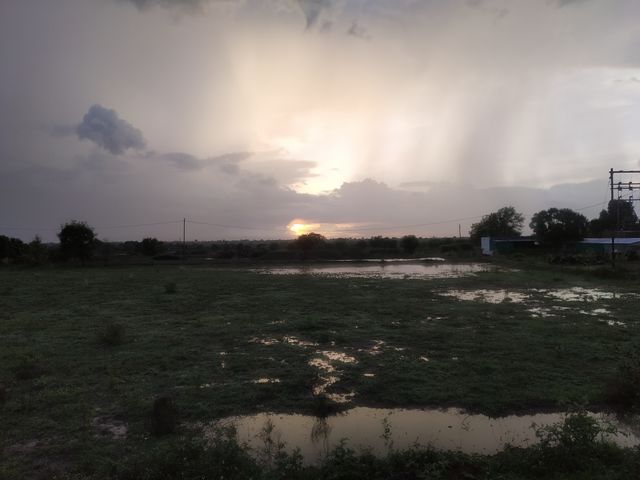 nature's view after heavy rain.