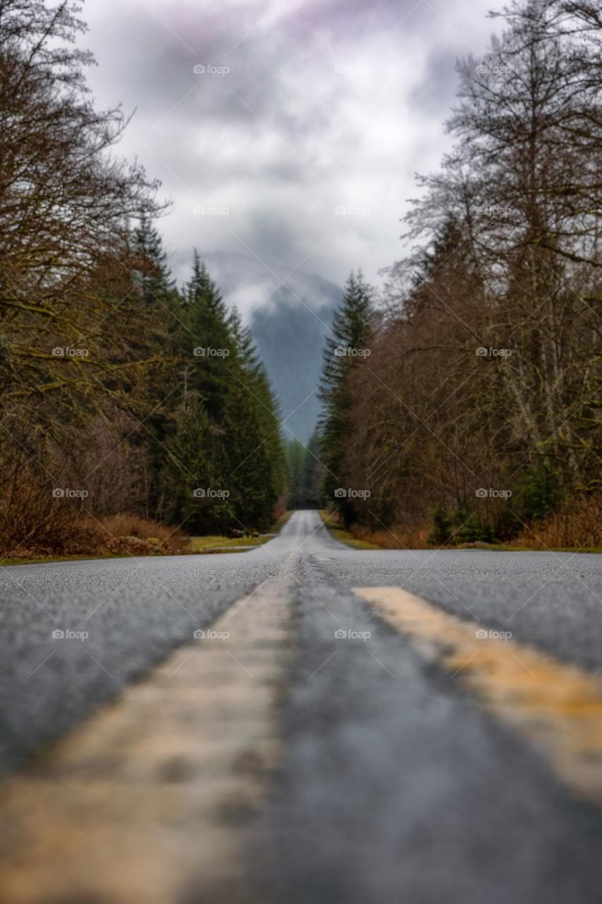 Shallow depth of field looking down a remote roadway in the forest heading towards a dramatic cloudy mph rain range. 