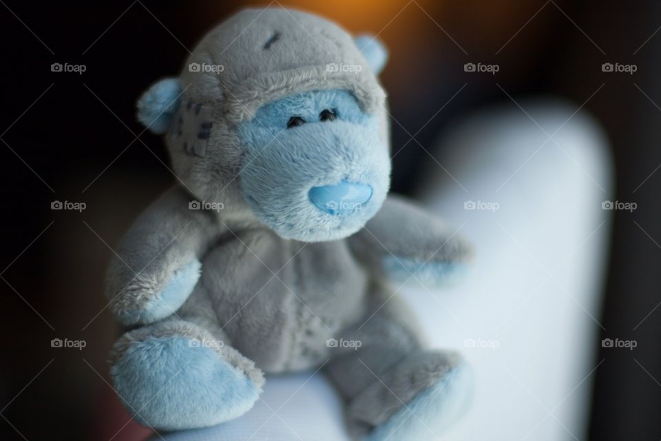Mr blue the toy monkey again