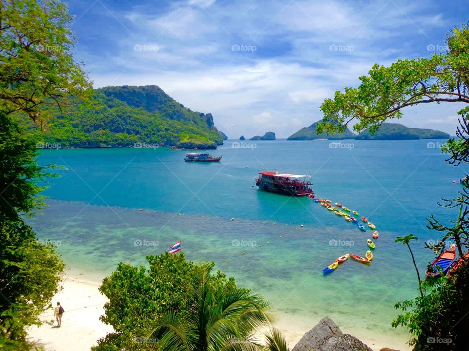 The colors are the flavor of life