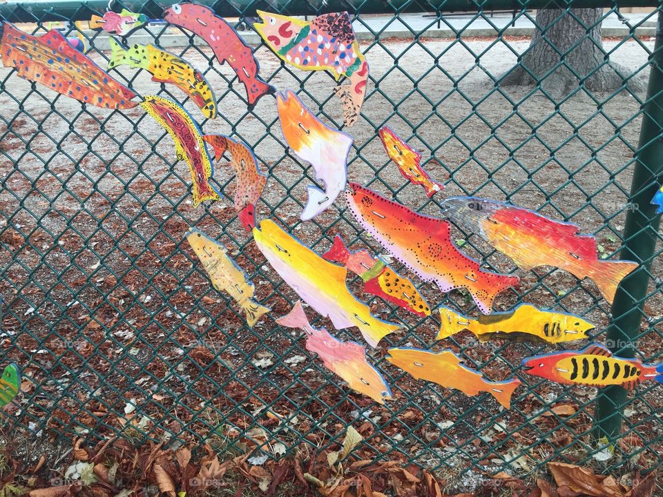 Fish coloured in various Autumn hues by local elementary school students and tacked to a fence for display in Vancouver, British Columbia