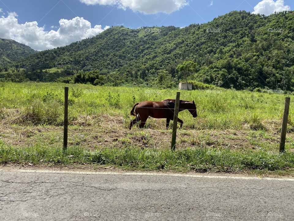 A beautiful day in the countryside!