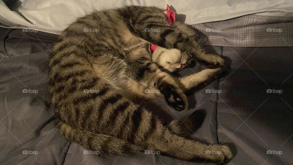 crasy pic 😂😂😂