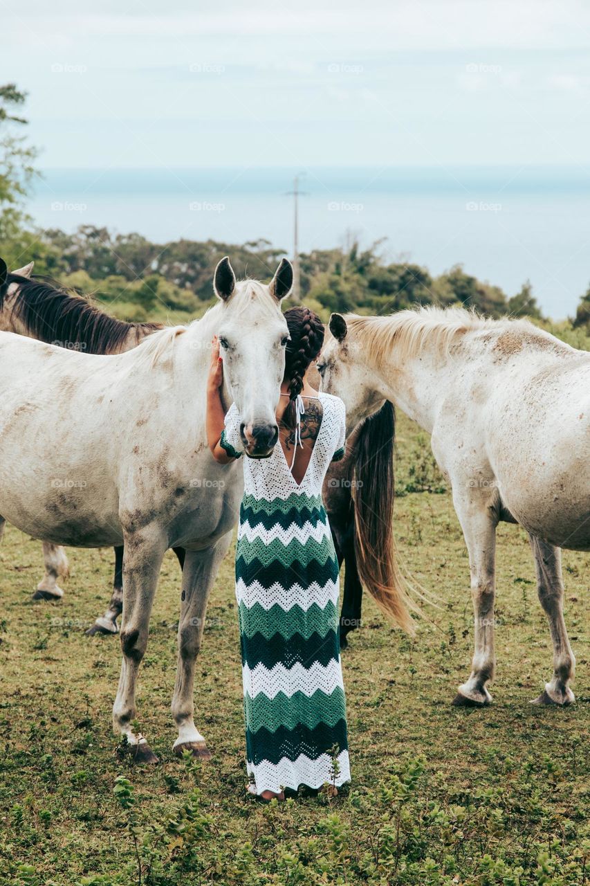 Hugging beautiful horses in a grassy field