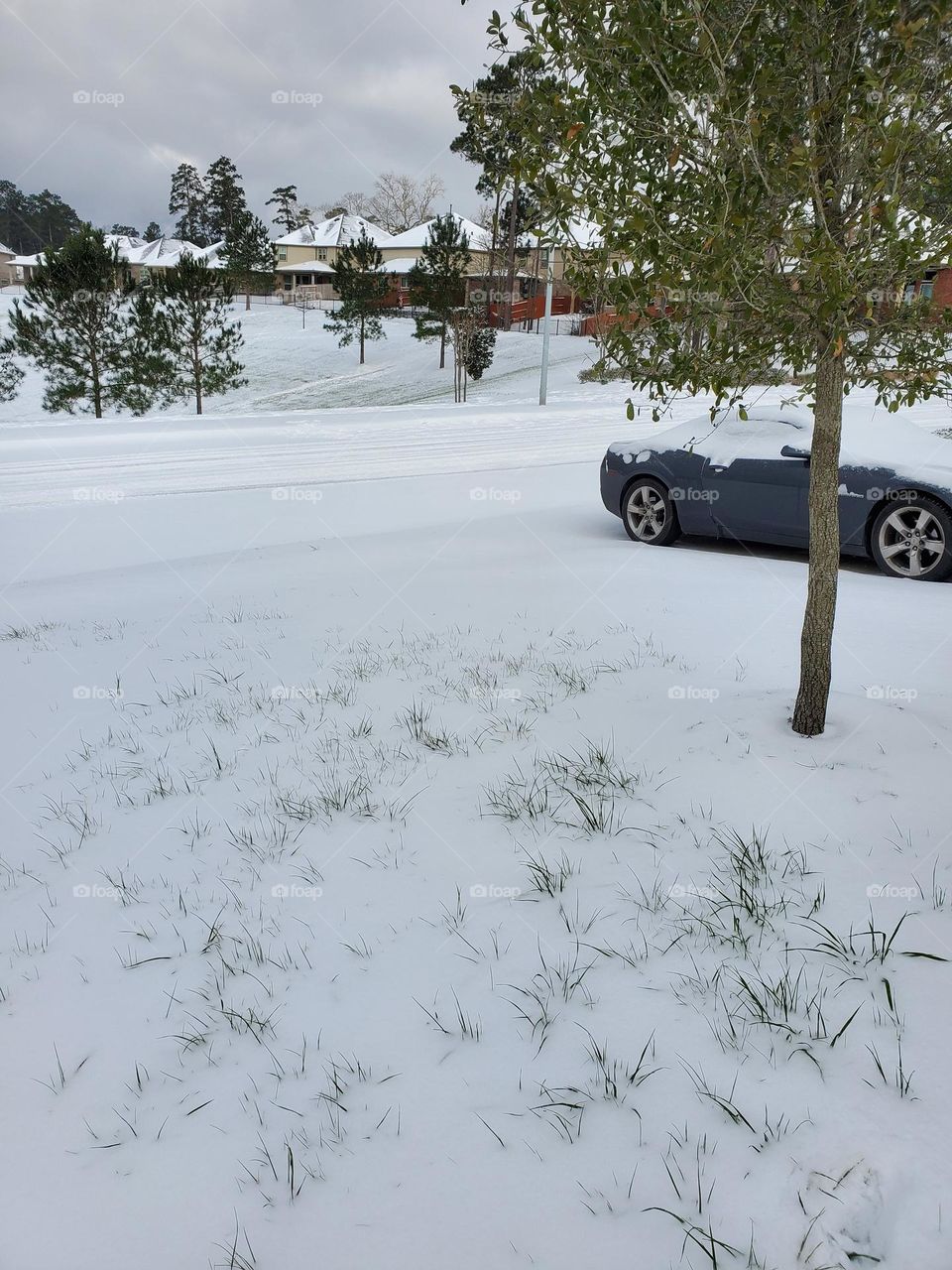 First snowfall in Conroe, Tx