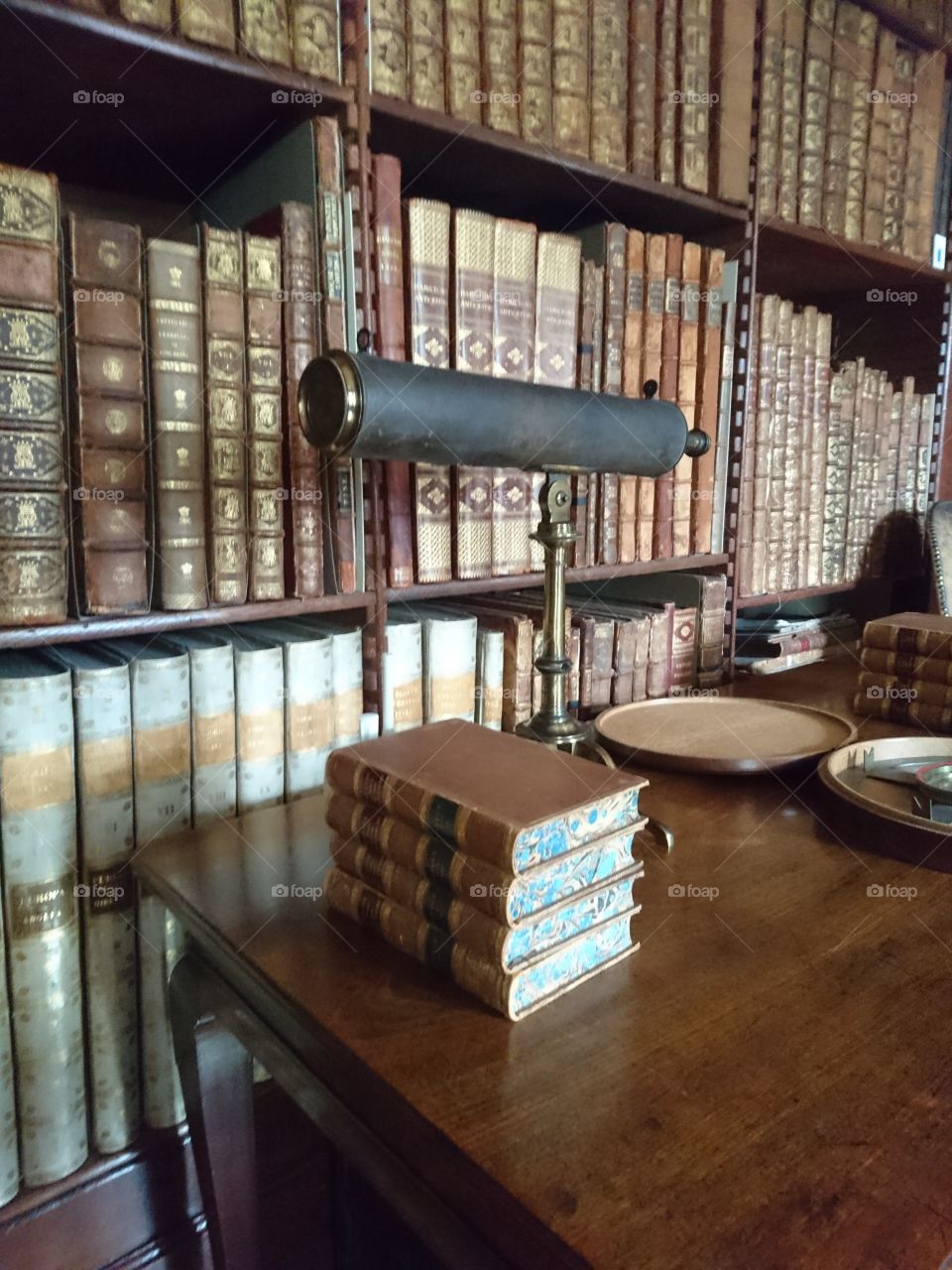 Shelf, No Person, Indoors, Furniture, Room